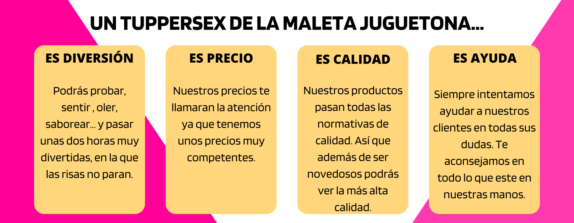 banner explicativo de la maleta juguetona